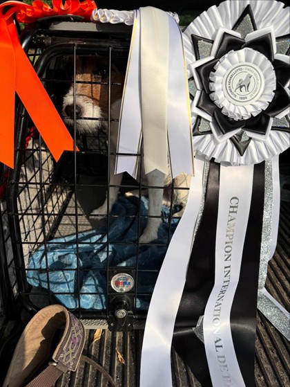 Scott Internationell champion 