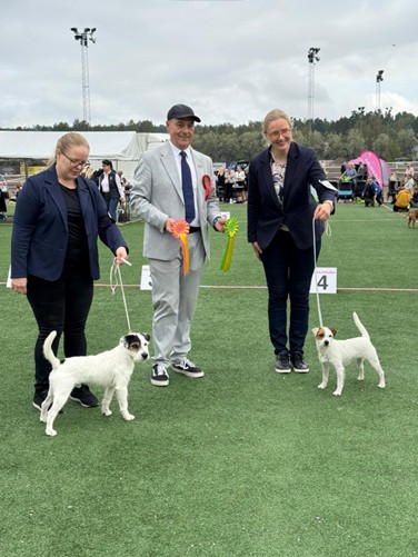 Ted:s valpar Valiant och Valkyrie